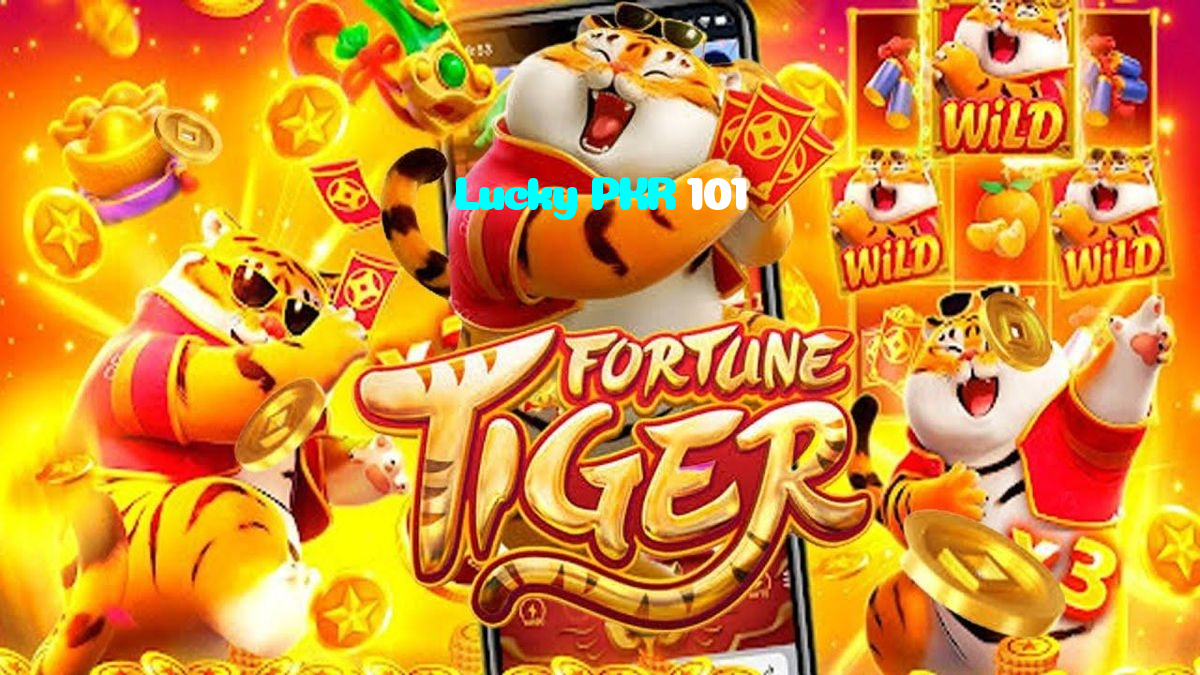 available types of Lucky PKR 101 bet including pre-match live express and system bets